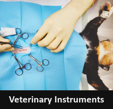Veterinary Instruments